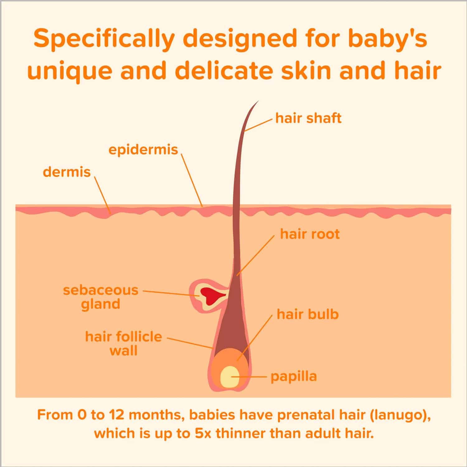 Johnson's Baby Shampoo with Gentle Tear-Free Formula, 1.7 fl. oz - Image 4